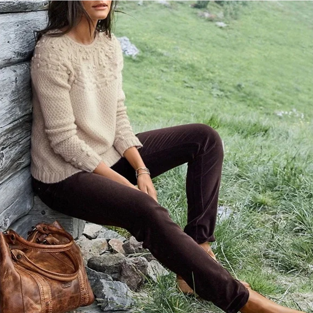 Garnet Hill Brown Velvet Pants 8P